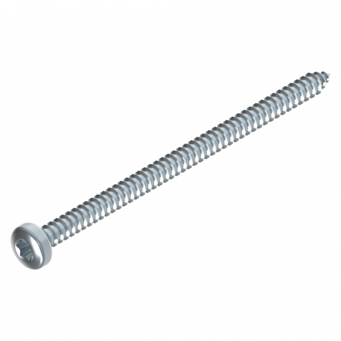 Schraube 4.2 x 70 mm Torx EV Schweighöfer Tore