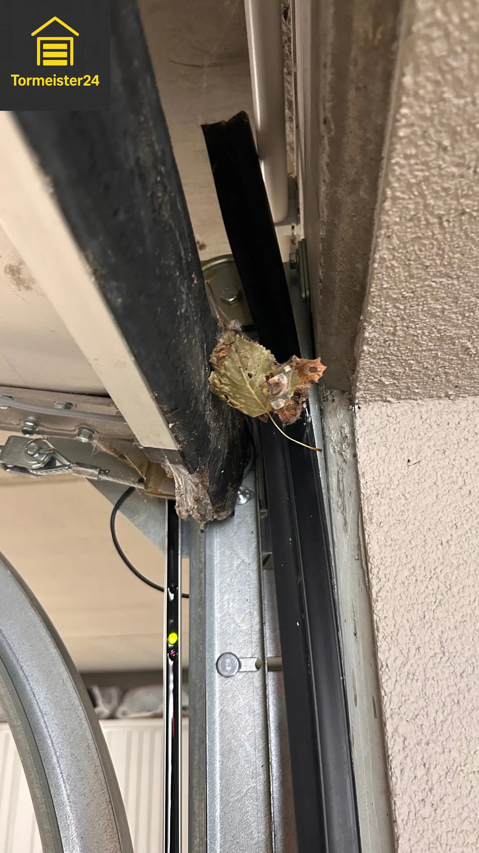 Seil franst aus – Beispiel für verschlissene Litzen