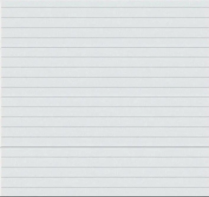 Innenansicht des Tores in Verkehrsweiß mit TS100-Führungssystem.