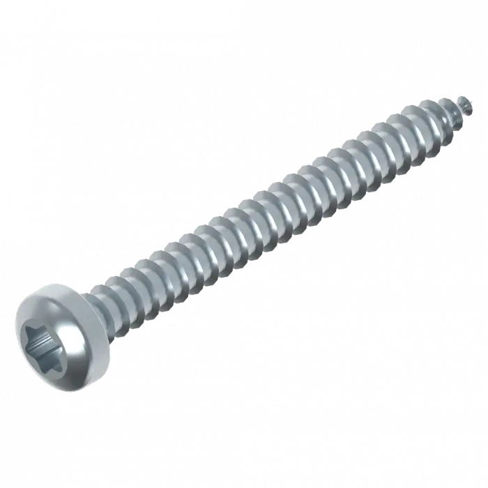 Schraube 3.9 x 38 mm Torx Edelstahl Schweighöfer Tore