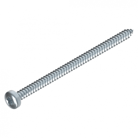 Schraube 4.2 x 70 mm Torx EV Schweighöfer Tore